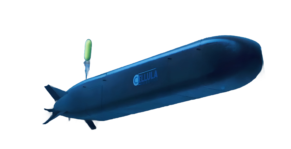 image-cetus